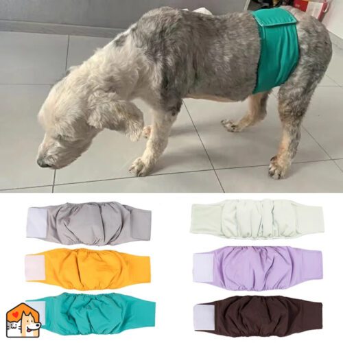 Premium Luier Wrap: Voor Hygiëne bij Mannelijke Honden Honden HuisdierXL