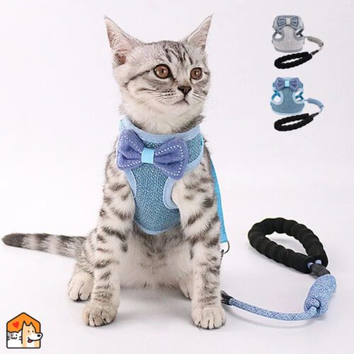 Schattig Kitten Harnas met Strik Set Kleding HuisdierXL