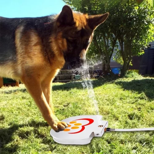 Speelse Plezierfontein : Zelfbediening Waterdispenser Puzzel Honden Sproeier Speeltjes HuisdierXL