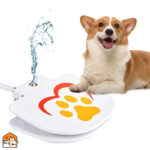 Zelfbedienings-waterdispenser voor honden