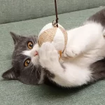 Grappig en kleurrijk kattenspeelgoed met veren - Afbeelding 2