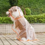 Regenjas voor kleine honden - XS t/m XXL - Afbeelding 3
