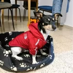 Winter warme fleece hondenjassen - waterdicht - Afbeelding 3