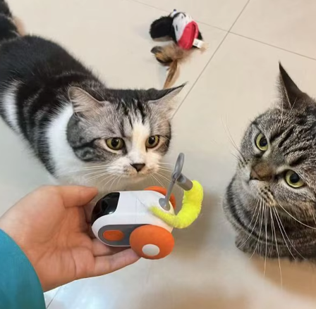 Smart Cat Toy 