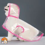 Regenjas voor kleine honden - XS t/m XXL