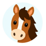 Paard & ruiter