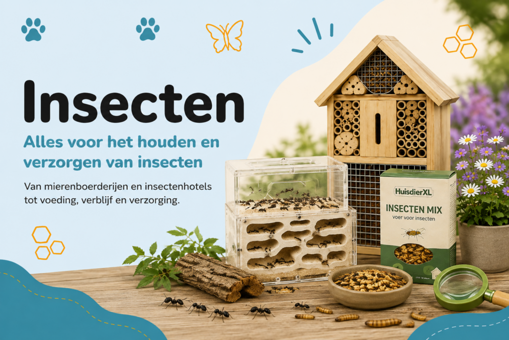 insecten banner archief mobiel