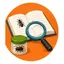 Observatie & educatie