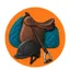 Ruiter- & zadelaccessoires