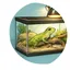Terrariums & kweekbakken