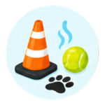 Wandelen & training
