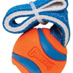 Chuckit Ultra Tug - Small 25 x 5 x 5 cm