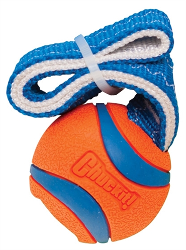 Chuckit Ultra Tug - Small 25 x 5 x 5 cm
