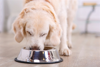 Happy Pet Voerbak Antislip - 14 cm