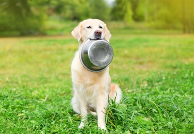 Happy Pet Voerbak Rvs - 11 cm