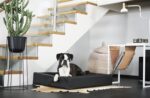 Bia Bed Hondenmand Original Zwart - Bia-2 60 x 50 x 12,5 cm