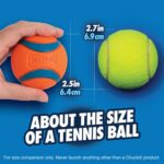 Chuckit Ultra Bal - Medium 6,4 cm 2 stuks