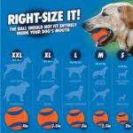 Chuckit Ultra Bal - Medium 6,4 cm 2 stuks