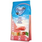 Renske Super Premium Adult Zalm Graanvrij Hypoallergeen - 2 kg