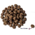 Renske Super Premium Senior Kalkoen Graanvrij Hypoallergeen - 12 kg
