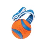 Chuckit Ultra Tug - 27 x 7 x 7 cm