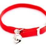 Martin Halsband Kat Elastisch Nylon Rood - 30 x 1 cm