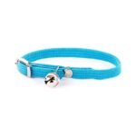 Martin Halsband Kat Elastisch Nylon Turquoise - 30 x 1 cm