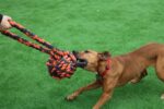 Happy Pet Nuts For Knots Extreme Bal Tugger - 60 x 24 x 24 cm