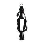 Martin Hondentuig Basic Nylon Zwart - 25-35 x 1 cm