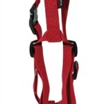Martin Hondentuig Basic Nylon Rood - 35-50 x 1,6 cm