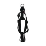 Martin Hondentuig Basic Nylon Zwart - 35-50 x 1,6 cm