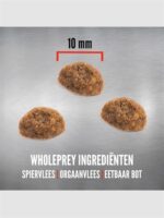 Orijen Original Cat - 5,4 kg