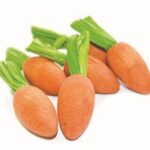 Critter'S Choice Happy Pet Carrot Nibblers Knaaghout - 8 x 3 x 3 cm 6 stuks