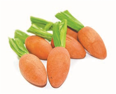 380646.jpg Critter'S Choice Happy Pet Carrot Nibblers Knaaghout - 8 x 3 x 3 cm 6 stuks