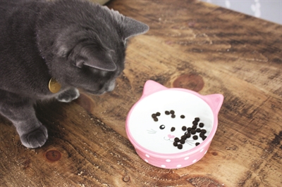 Happy Pet Voerbak Kat Polka Roze / Creme - 300 ml