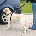 Trixie Hondentuig Auto Inclusief Gordel Zwart - 70-90 cm