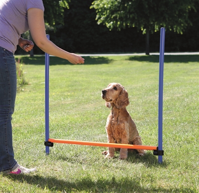 Trixie Dog Activity Agility Horde Blauw / Oranje - 123 x 115 x 3 cm