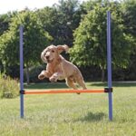 Trixie Dog Activity Agility Horde Blauw / Oranje - 123 x 115 x 3 cm