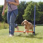 Trixie Dog Activity Agility Horde Blauw / Oranje - 123 x 115 x 3 cm