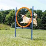 Trixie Dog Activity Agility Ring Blauw / Oranje - 65 x 3 x 115 cm