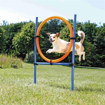 Trixie Dog Activity Agility Ring Blauw / Oranje - 65 x 3 x 115 cm