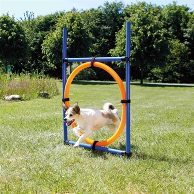 Trixie Dog Activity Agility Ring Blauw / Oranje - 65 x 3 x 115 cm