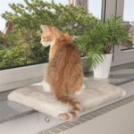 Trixie Kattenmand Plateau Vensterbank Lichtgrijs - 51 x 36 cm