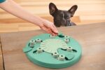 Nina Ottosson Dog Worker Composiet - 34,5 x 34,5 x 5 cm