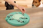 Nina Ottosson Dog Worker Composiet - 34,5 x 34,5 x 5 cm