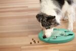 Nina Ottosson Dog Worker Composiet - 34,5 x 34,5 x 5 cm