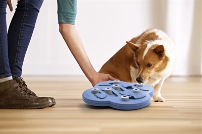 Nina Ottosson Dog Hide N Slide Composiet - 33 x 33 x 5 cm