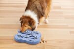 Nina Ottosson Dog Hide N Slide Composiet - 33 x 33 x 5 cm
