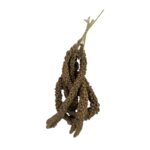 Trosgierst Chinees - 15 kg