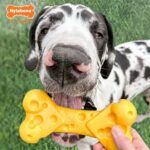 Nylabone Dura Chew Cheese Bone - Tot 23 kg